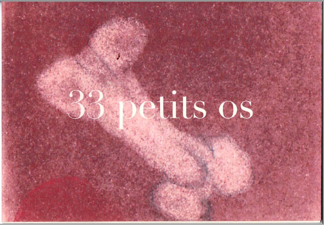 33 petits os